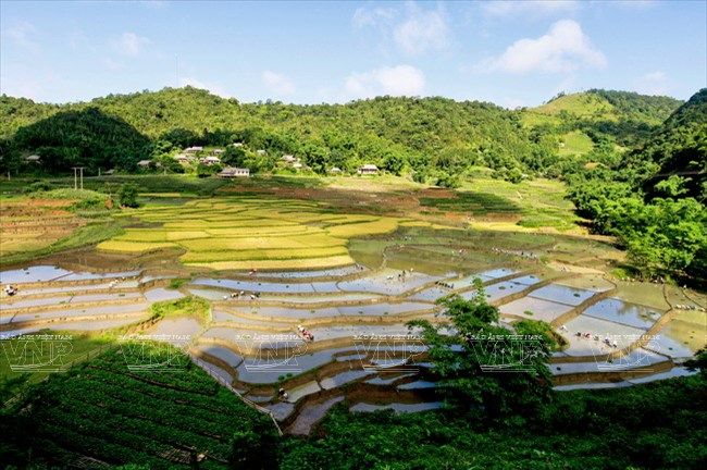 Làng Nghề Lũng Vân: Khám Phá Đặc Sản Văn Hóa Tỉnh Hà Giang