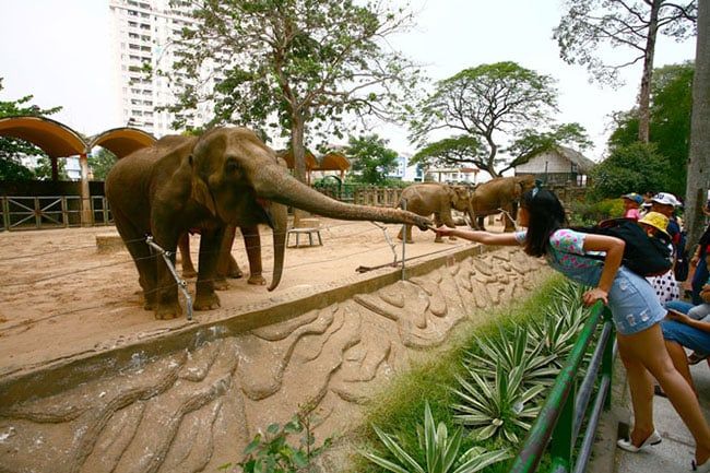 Khám Phá Thảo Cầm Viên Hà Nội – Điểm Đến Hấp Dẫn Cho Du Khách