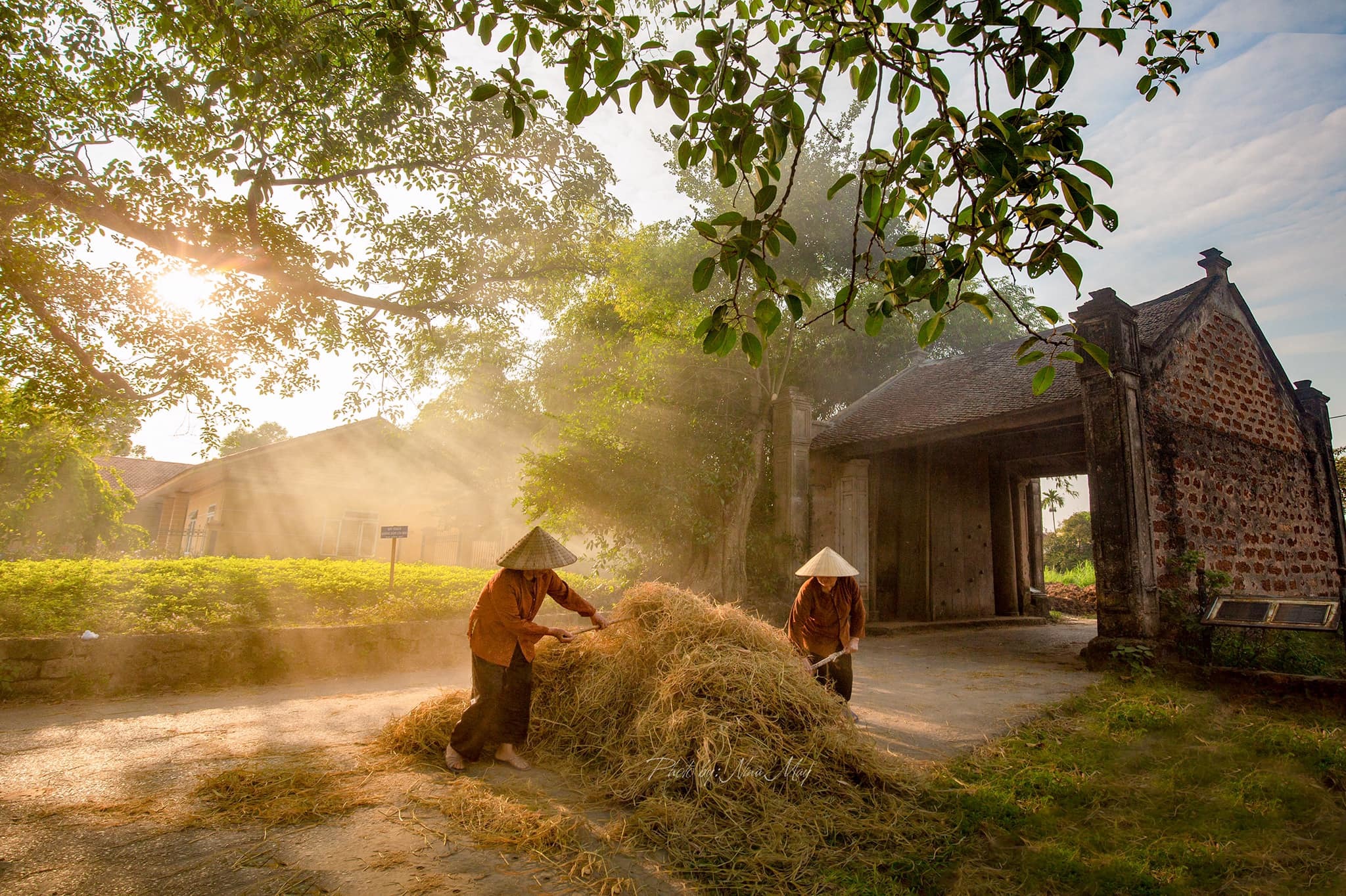 Khám Phá Làng Cổ Đường Lâm: Di Sản Văn Hóa Độc Đáo Gần Hà Nội