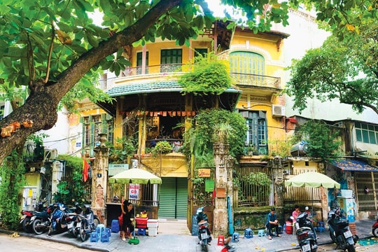 Khám Phá Phố Hàng Ngang: Trái Tim Lịch Sử Của Hà Nội